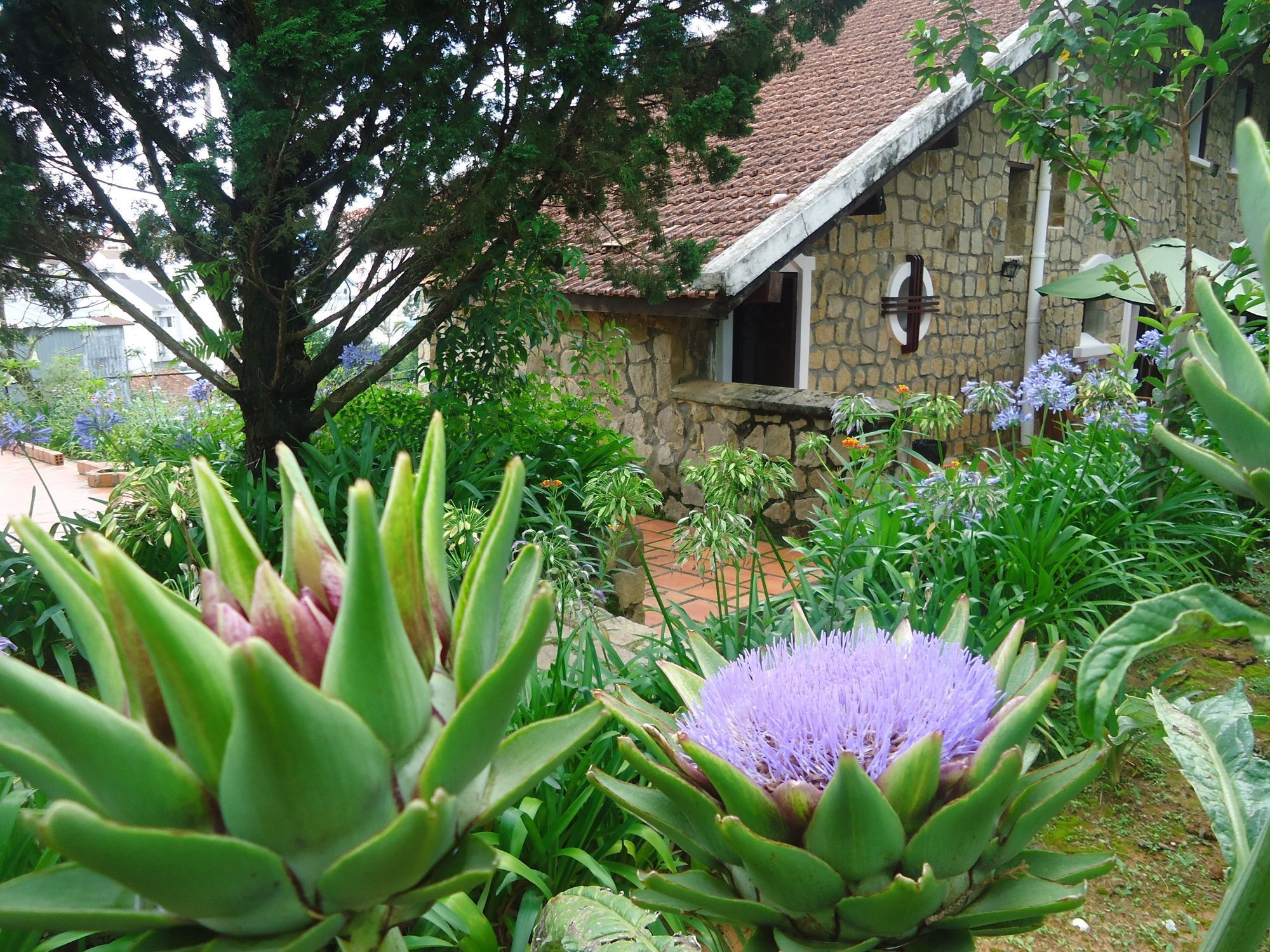 Dalat Train Villa Exterior photo