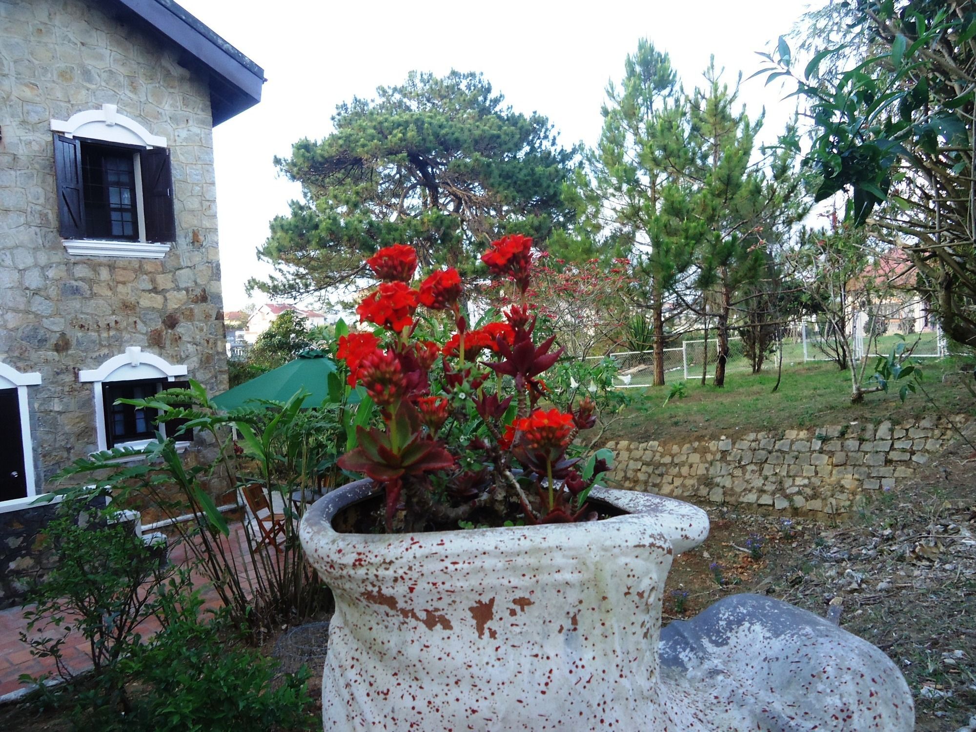 Dalat Train Villa Exterior photo
